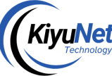 Industry-Specific IT Service Provider in Gurgoan Delhi NCR